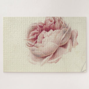 Puzzle Roze Roos (1792) - Arte botánico de época
