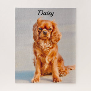 Puzzle Ruby Cavalier King Charles Spaniel Dog
