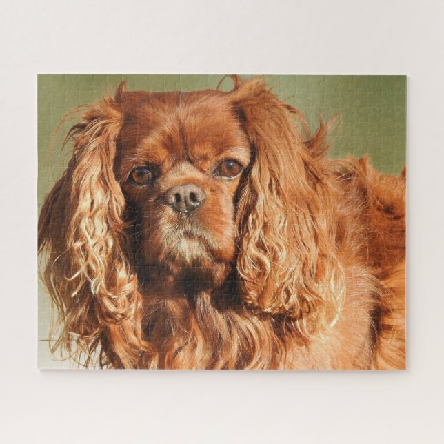 Puzzle Ruby Cavalier King Charles Spaniel Dog (Horizontal)