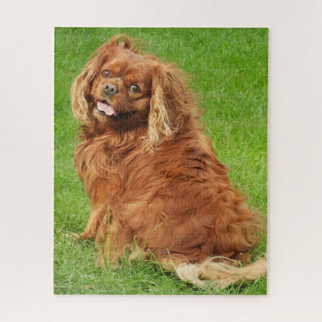 Puzzle Ruby Cavalier King Charles Spaniel Dog Jigsaw Puzz (Vertical)