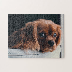 Puzzle Ruby Cavalier King Charles Spaniel Perro Cachorro