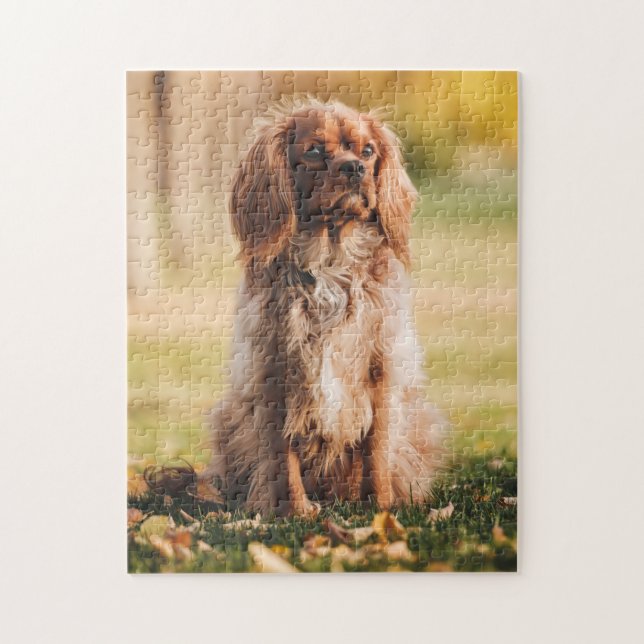 Puzzle Ruby Cavalier King Charles Spaniel Perro Cachorro (Vertical)