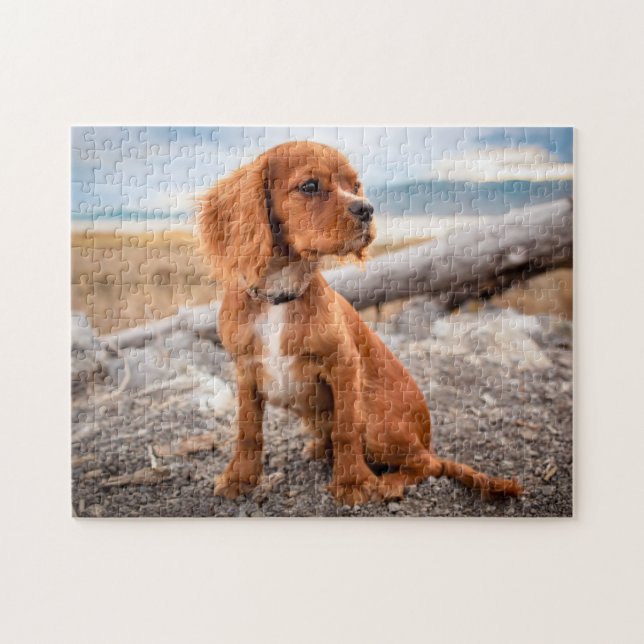 Puzzle Ruby Cavalier King Charles Spaniel Perro Cachorro (Horizontal)