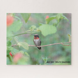 Puzzle Ruby Throated Hummingbird, amante de las aves