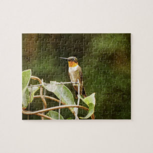 Puzzle Ruby Throed Hummingbird