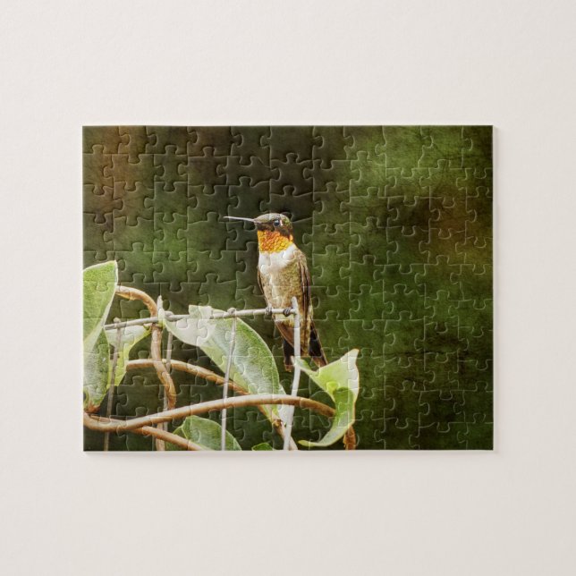Puzzle Ruby Throed Hummingbird (Horizontal)