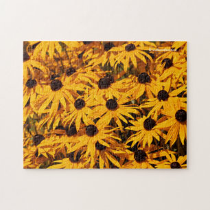 Puzzle Rudbeckia Fulgida / Naranja Coneflower