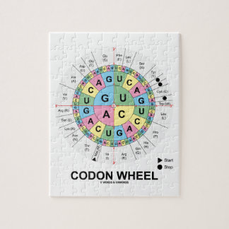 Puzzle Rueda del codón (aminoácidos de los codones del
