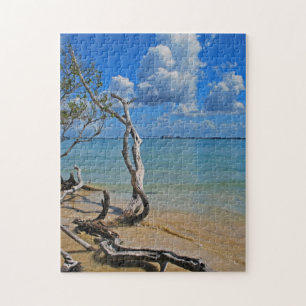 Puzzle Ruina para cegar el paso