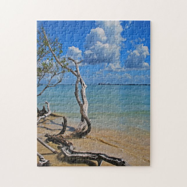 Puzzle Ruina para cegar el paso (Vertical)