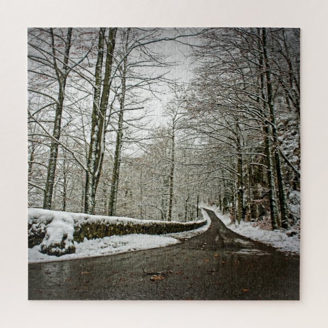 Puzzle Ruta a Dreamland - Bosque alemán -20x20-676 pcs (Vertical)