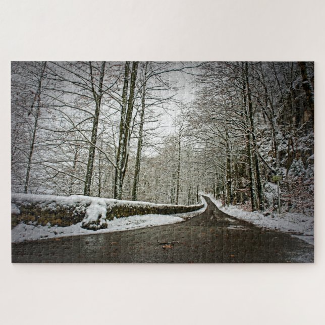 Puzzle Ruta a Dreamland - Bosque alemán - 20x30-1014 pc (Horizontal)