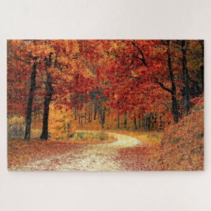 Puzzle Ruta Forestal - Caída - Hermosa -