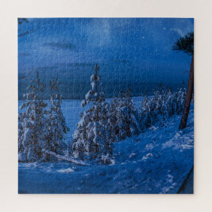 Puzzle Ruta forestal en la noche de invierno