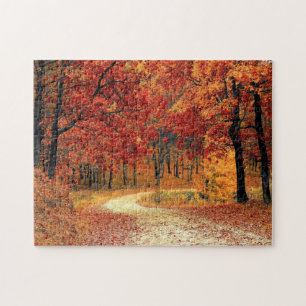Puzzle Ruta Forestal - Otoño - Hermoso Otoño