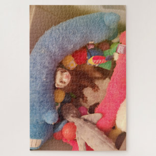 Puzzle Sable Ferret Toybox