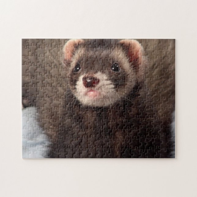 Puzzle Sable Weasel  - Jabba the Ferret (Horizontal)