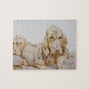 Puzzle Sabuesos antiguos y lindos, cachorros de EJ Detmol
