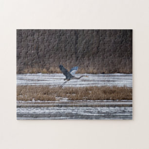 Puzzle Sacar Heron