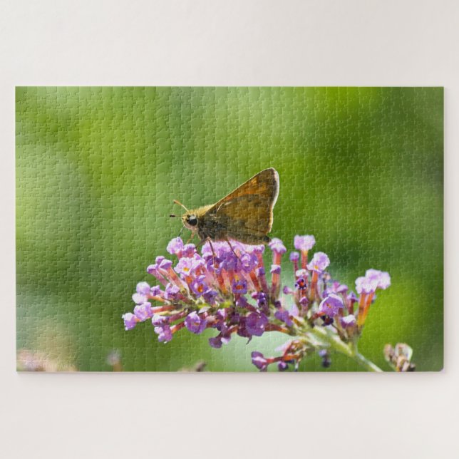 Puzzle Sachem (Atalopedes campestris) (Horizontal)