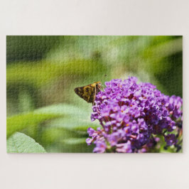 Puzzle Sachem (Atalopedes campestris) 