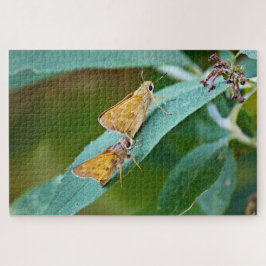 Puzzle Sachem (Atalopedes campestris)