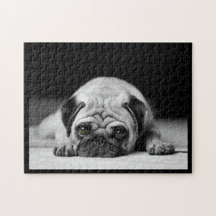 Puzzle Sad Pug