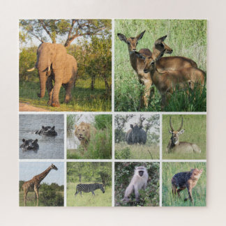 Puzzle safari africano
