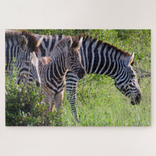 Puzzle safari de cebra