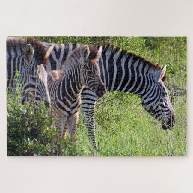 Puzzle safari de cebra (Horizontal)