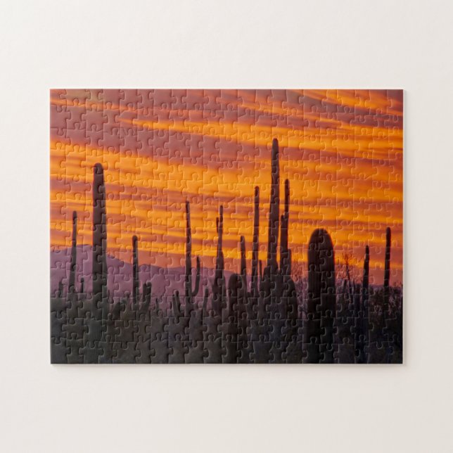 Puzzle Saguaro, puesta de sol, Parque Nacional Saguaro (Horizontal)