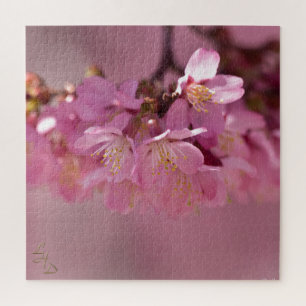 Puzzle Sakura cerezo florecimiento Delicado Bouquet Rosa