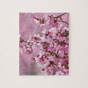 Puzzle Sakura cerezos florecen en capas rosadas pasteles