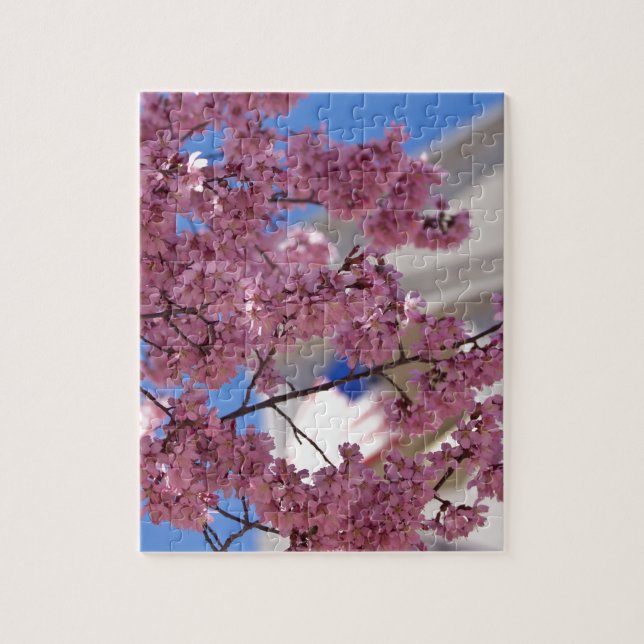 Puzzle Sakura Cherry florece Americana (Vertical)