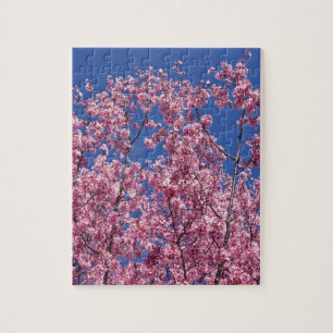 Puzzle Sakura Flor de Cerezo en el Azul