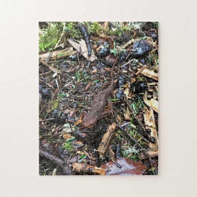 Puzzle Salamander en el bosque, Washington (Vertical)