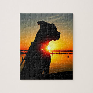 Puzzle Salida del sol del pitbull