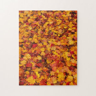 PUZZLE SALIDAS DE AUTUMN