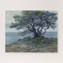 “Salt Point Tree”
