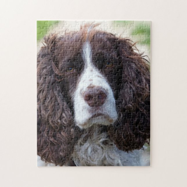 Puzzle saltador inglés spaniel.png (Vertical)