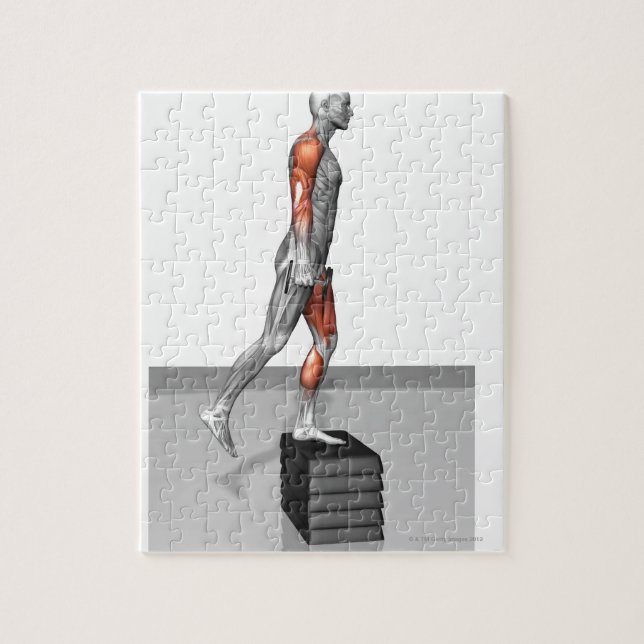 Puzzle Salto de Dumbbell 4 (Vertical)