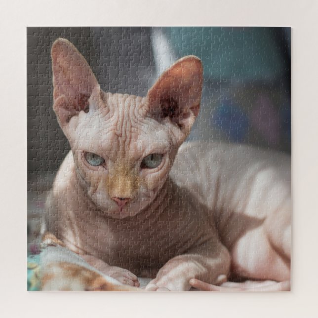 Puzzle Salto de gato lindo sin pieles (Vertical)