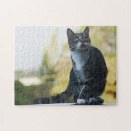 Puzzle Salto felino