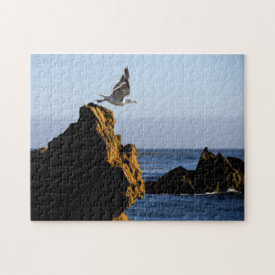 Puzzle Saltos de gaviota