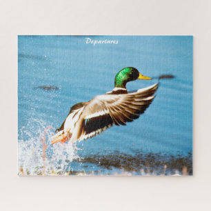 Puzzle Saltos de Mallard Ducks