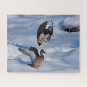 Puzzle Saltos de Mallard Ducks