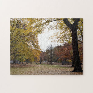 Puzzle Saltos de otoño en el Central Park de Nueva York