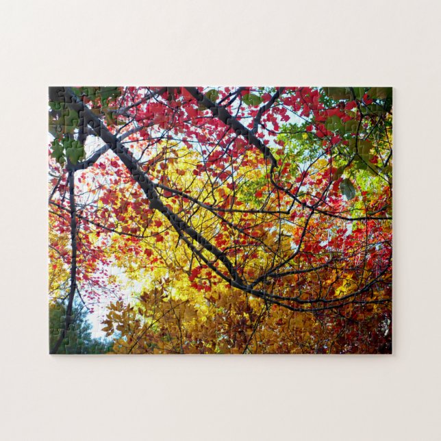 Puzzle Saltos de otoño en Walden Pond (Horizontal)