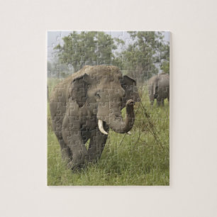 Puzzle Saludo de elefante asiático indio