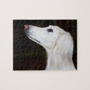 Puzzle Saluki que mira para arriba